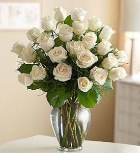 The 2 Dozen Long Stem White Rose Bouquet – Pleasanton Flower Shop, Pleasanton CA