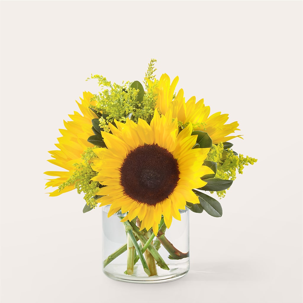 Beaming Sunflower Bouquet – Pleasanton Flower Shop, Pleasanton CA