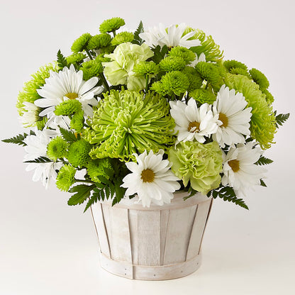 Lucky Charm Basket (Standard) –  Pleasanton Flower Shop, Pleasanton CA