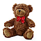 Adorable Plush Bear –  Pleasanton Flower Shop, Pleasanton CA