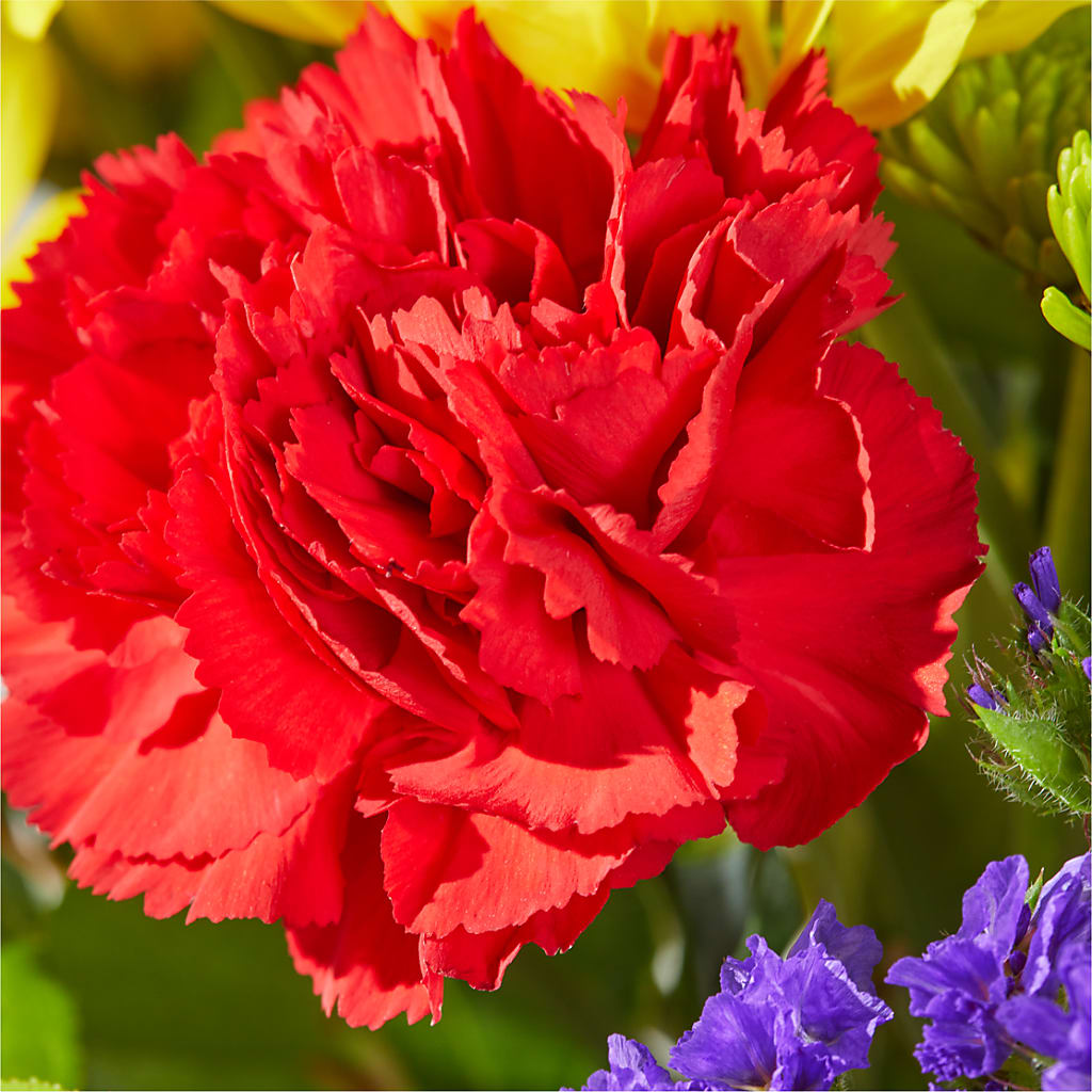 Brighter Days Bouquet –  Pleasanton Flower Shop, Pleasanton CA