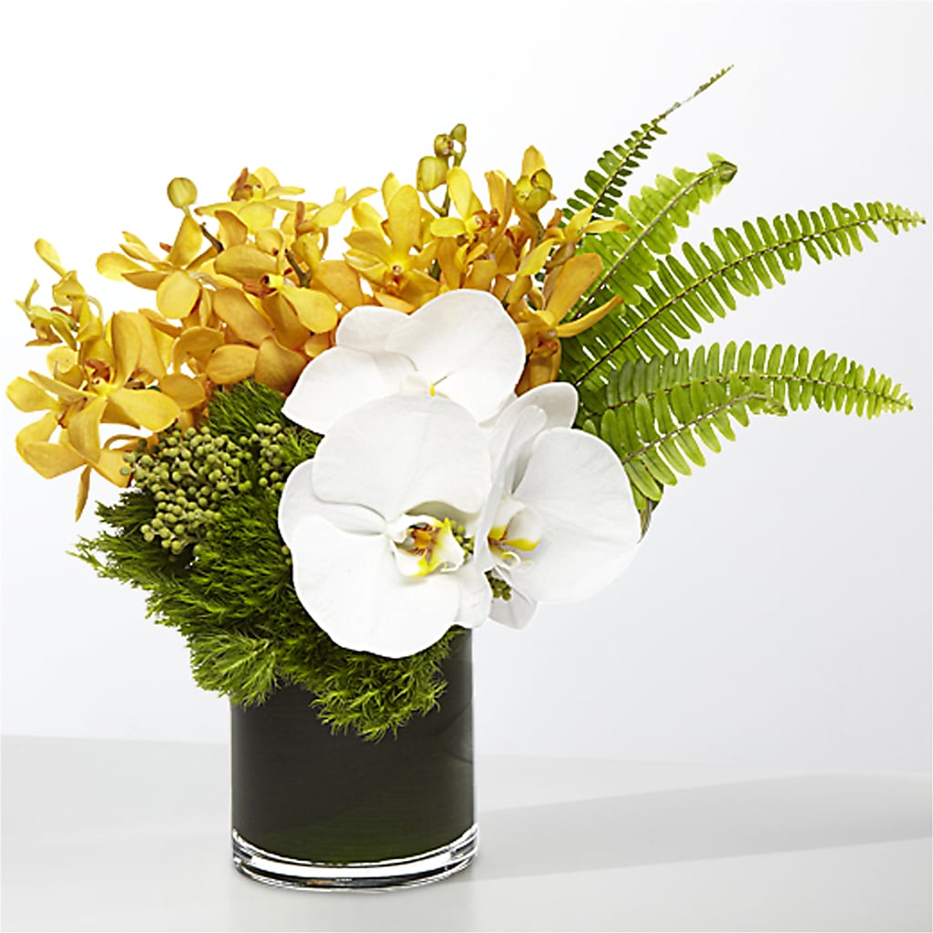 The Tropics –  Pleasanton Flower Shop, Pleasanton CA