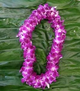 Double Strand Orchid Lei