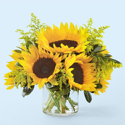 Beaming Sunflower Bouquet