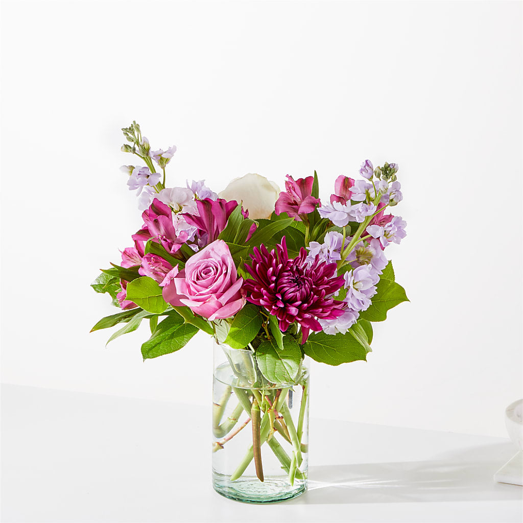 Customer Favorites