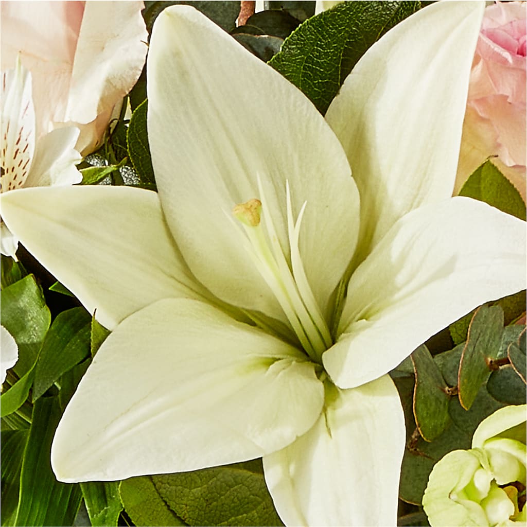 Ballet Slippers Bouquet –  Pleasanton Flower Shop, Pleasanton CA