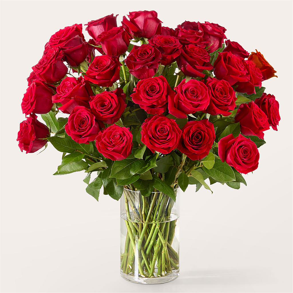 The One Red Rose Bouquet –  Pleasanton Flower Shop, Pleasanton CA